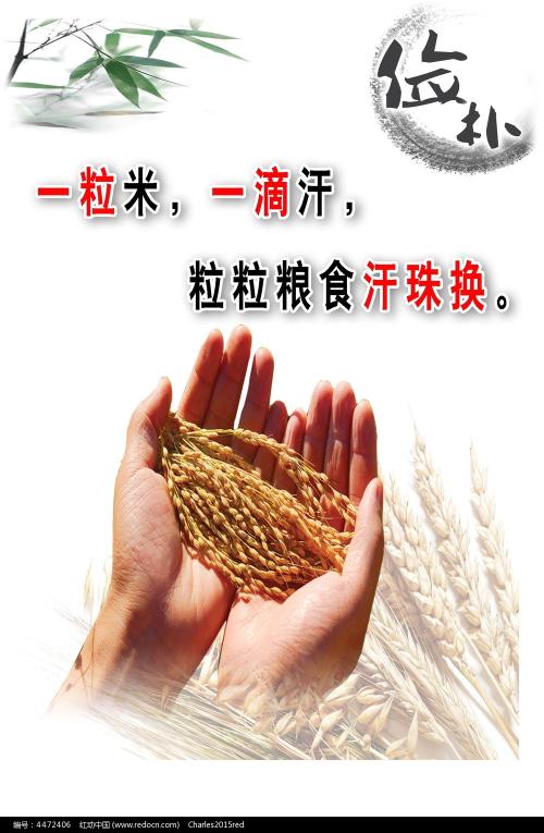 泌阳县高中毕业证格式